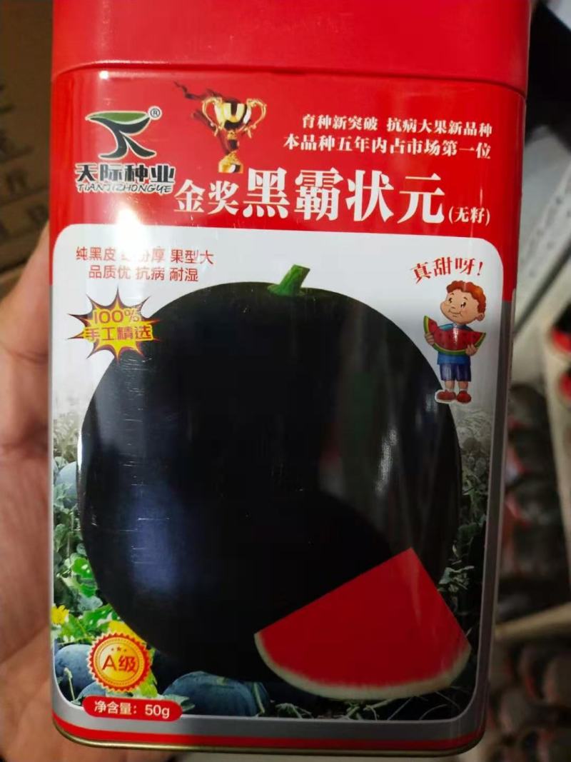 西瓜种子黑_霸（无籽）纯黑皮蜡粉厚果型大抗病抗湿