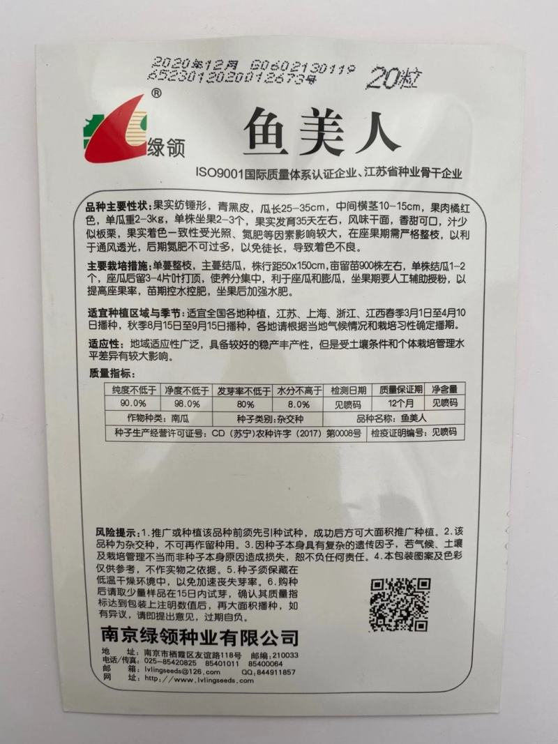 南瓜种子绿领鱼美人南瓜种子果实纺锤形皮色青黑果肉橘红色