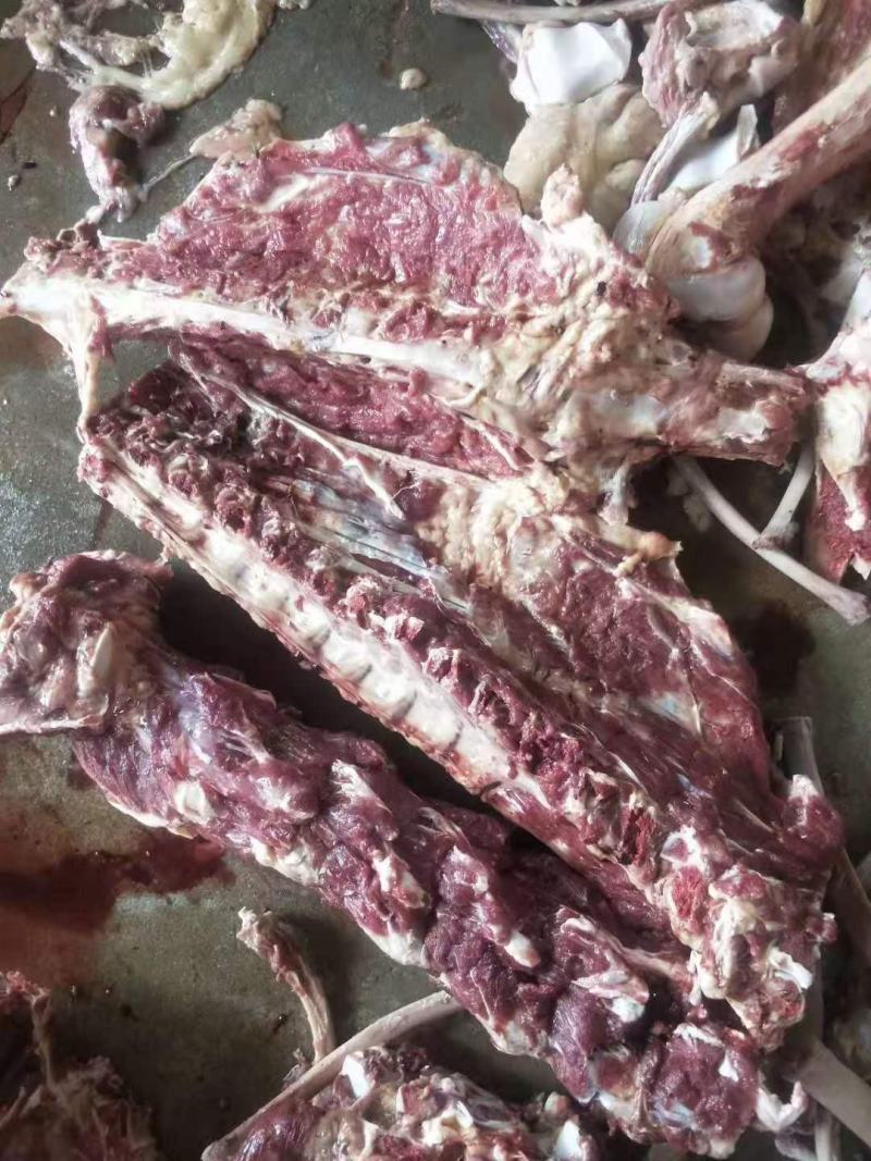 驴肉板肠，定州屠宰场大量批发，颜色好，免洗板肠，熟板肠