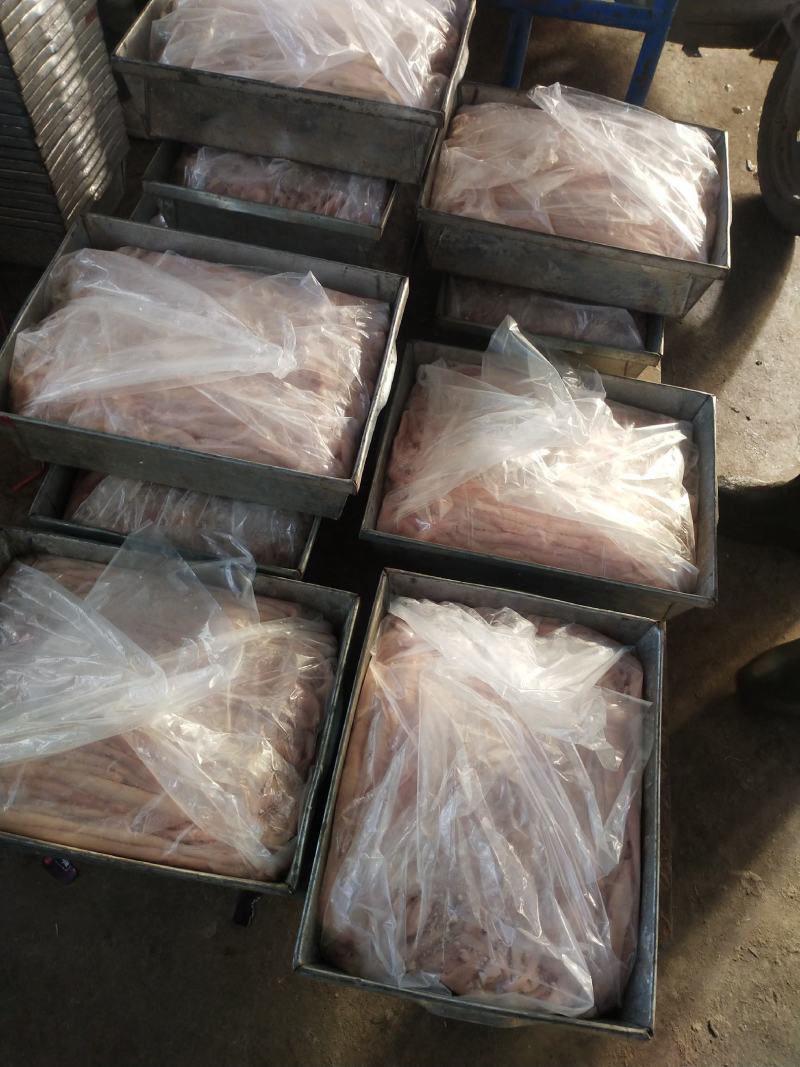 大羊蝎子，肉多，质量好，，河北定州屠宰场，每天鲜货