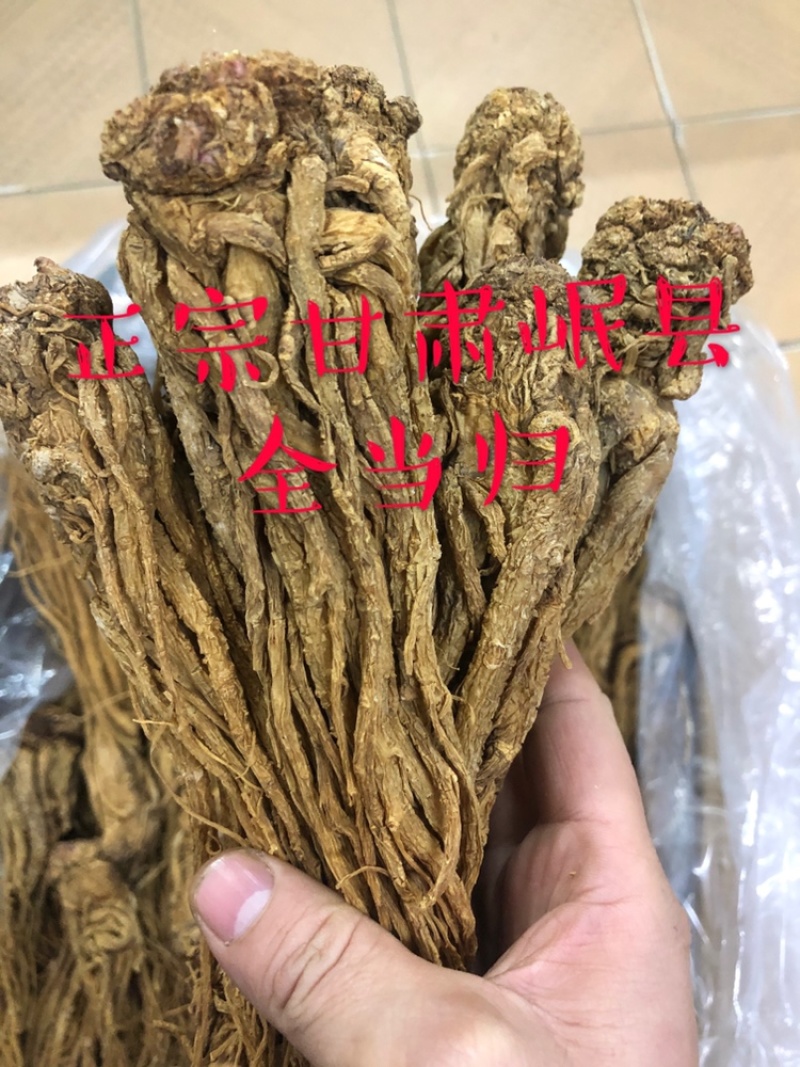 当归片、头、全当归正宗甘肃岷县，特级、无硫磺、包邮