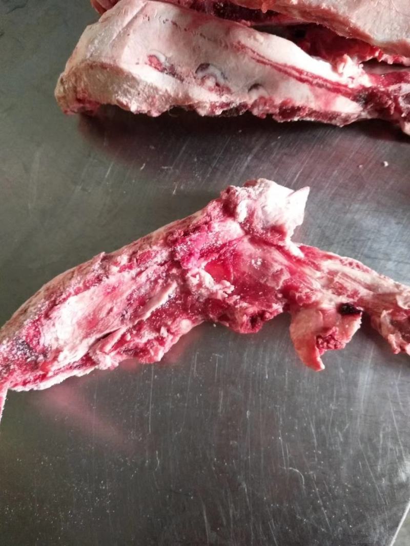 河北加工厂，精品羊宝，羊鞭，大量批发每天鲜货，现货批发