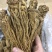 当归片、头、全当归正宗甘肃岷县，特级、无硫磺、包邮