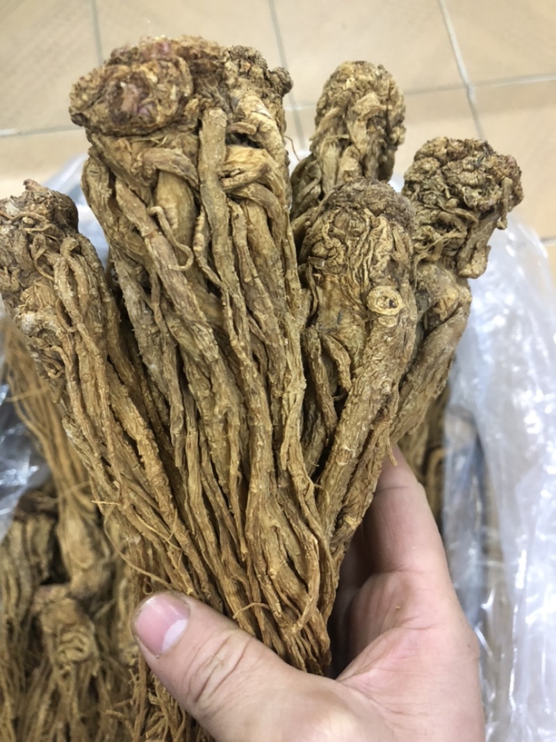 当归片、头、全当归正宗甘肃岷县，特级、无硫磺、包邮