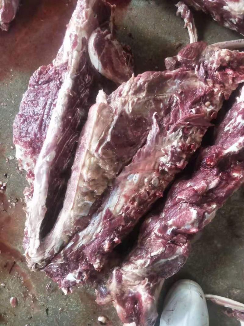 精品驴肉，驴副产品33到55一斤，河北定州市