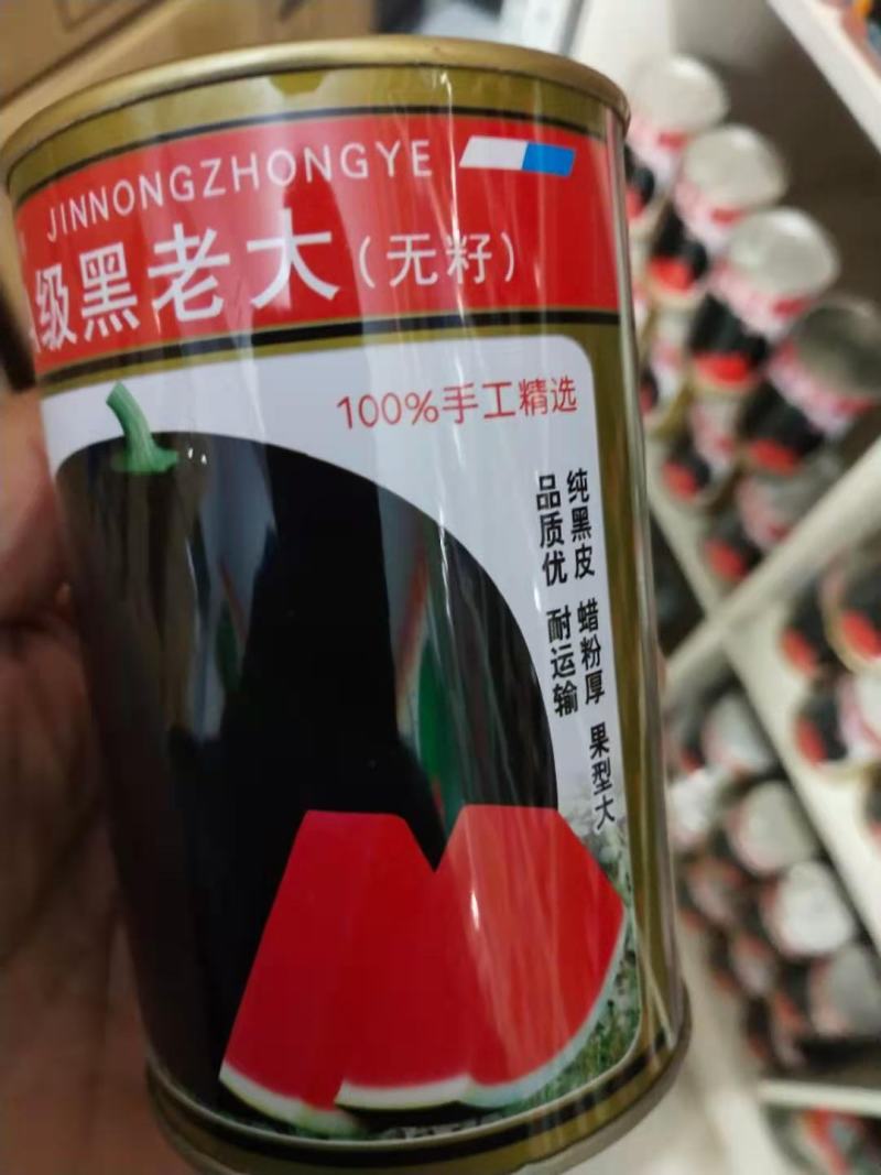 黑皮无籽西瓜种子，级黑老大纯黑蜡粉厚耐运输含糖高
