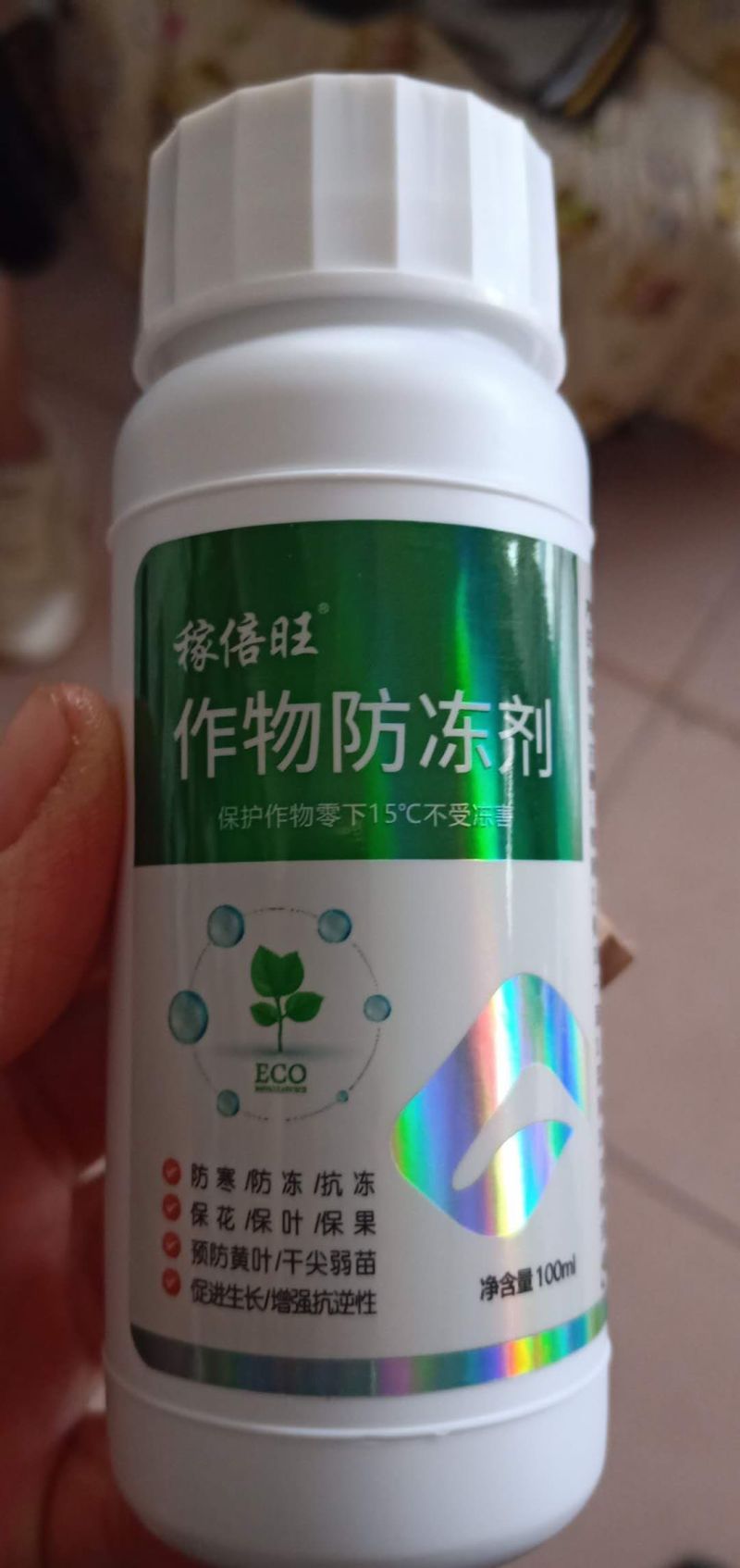 黑皮无籽西瓜种子，级黑老大纯黑蜡粉厚耐运输含糖高