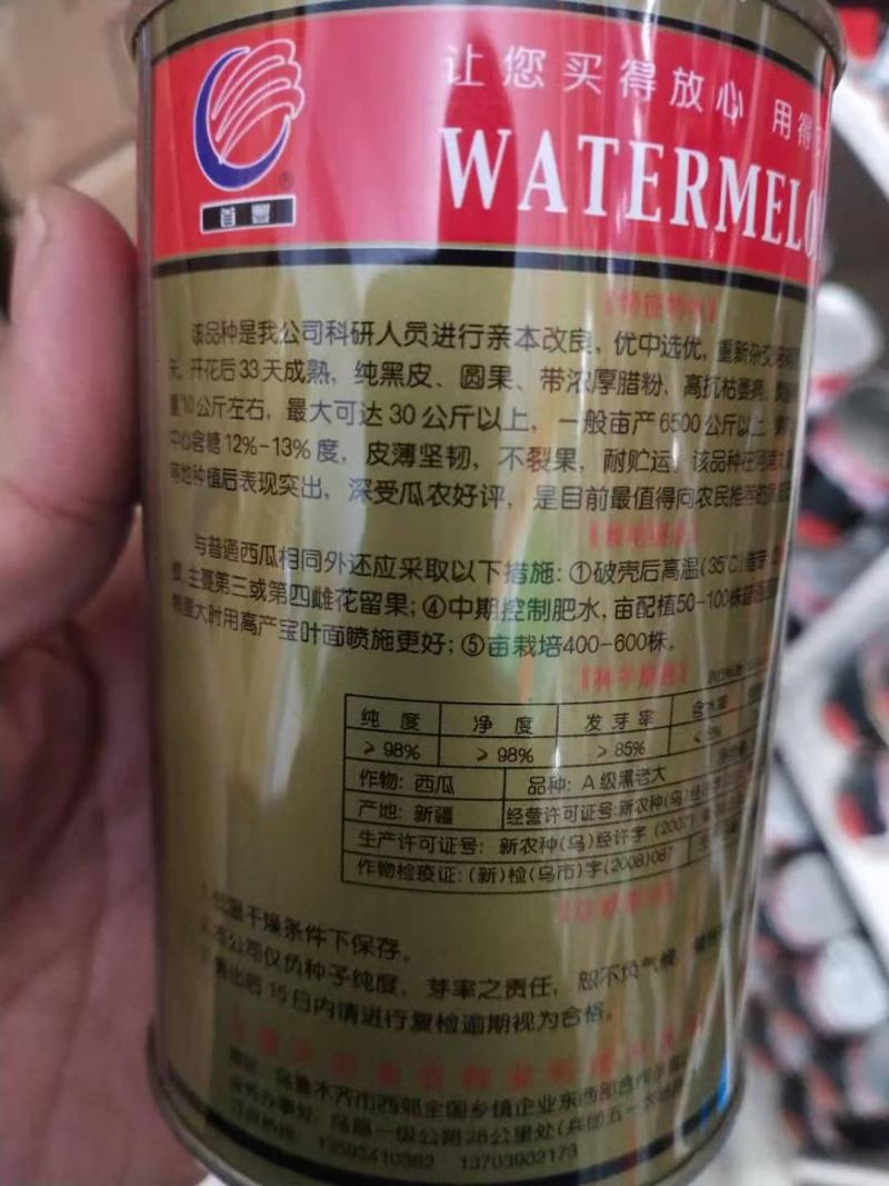 黑皮无籽西瓜种子，级黑老大纯黑蜡粉厚耐运输含糖高