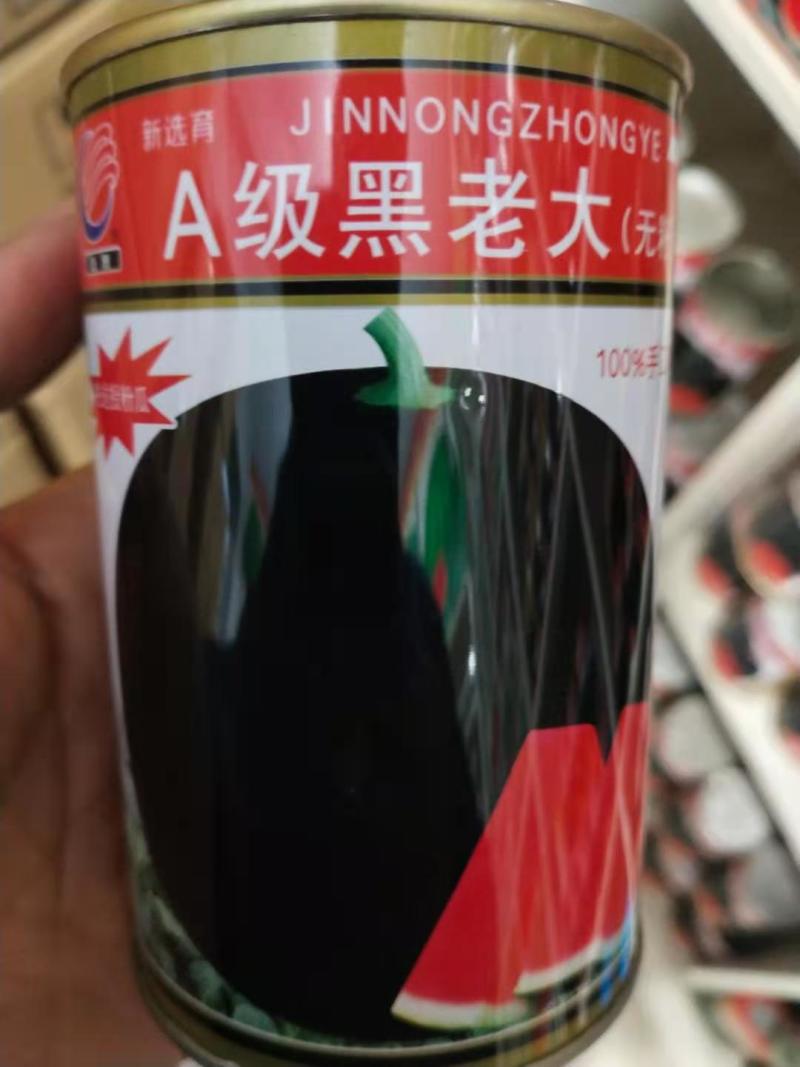 黑皮无籽西瓜种子，级黑老大纯黑蜡粉厚耐运输含糖高