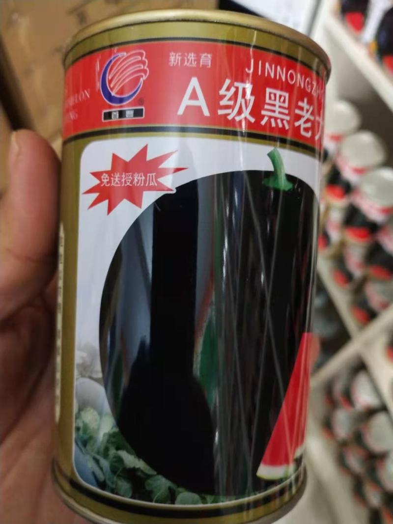 黑皮无籽西瓜种子，级黑老大纯黑蜡粉厚耐运输含糖高