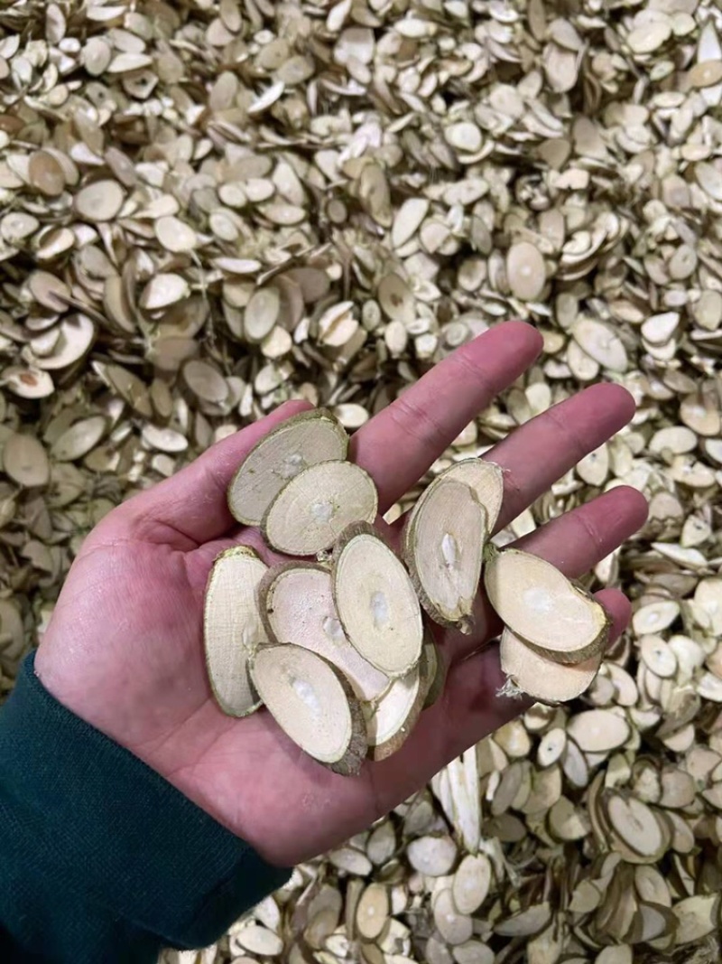 大量长期供应桑枝片无硫统货过筛货量大药用足浴用