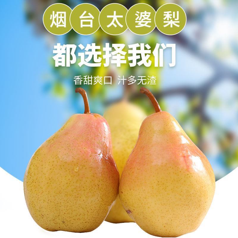 】烟台太婆梨大头梨软糯口感5斤装单果150g起