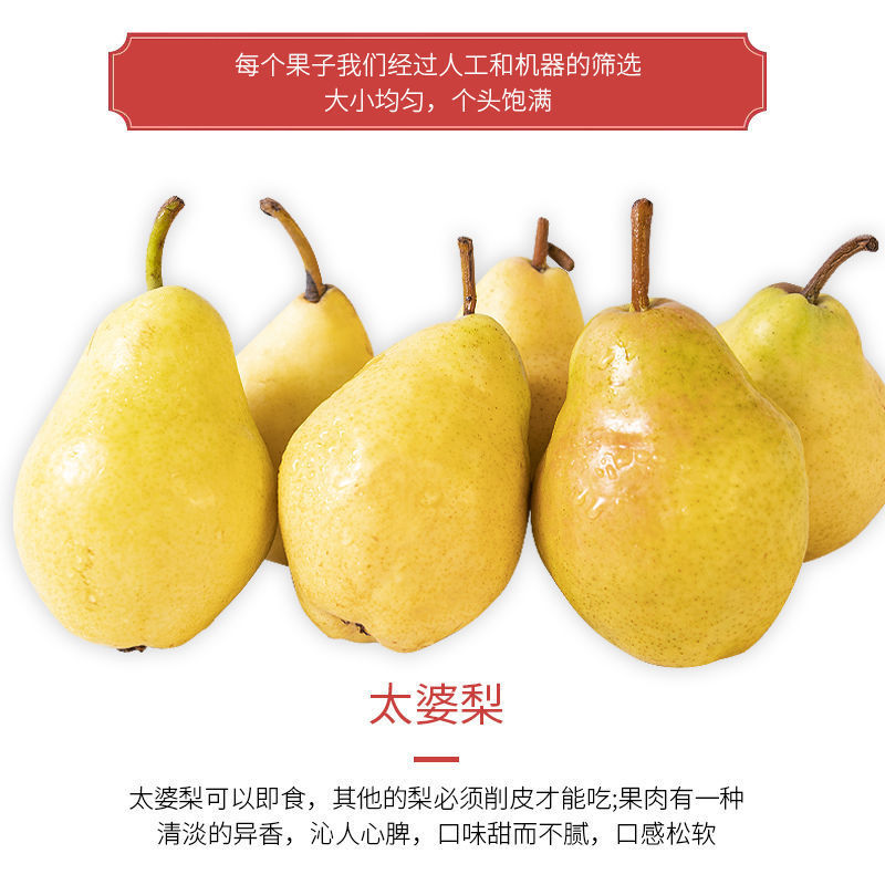 】烟台太婆梨大头梨软糯口感5斤装单果150g起
