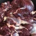 鹿肉新鲜现杀非熟食冷冻梅花鹿肉包邮新鲜冷冻包邮吉林鹿乡