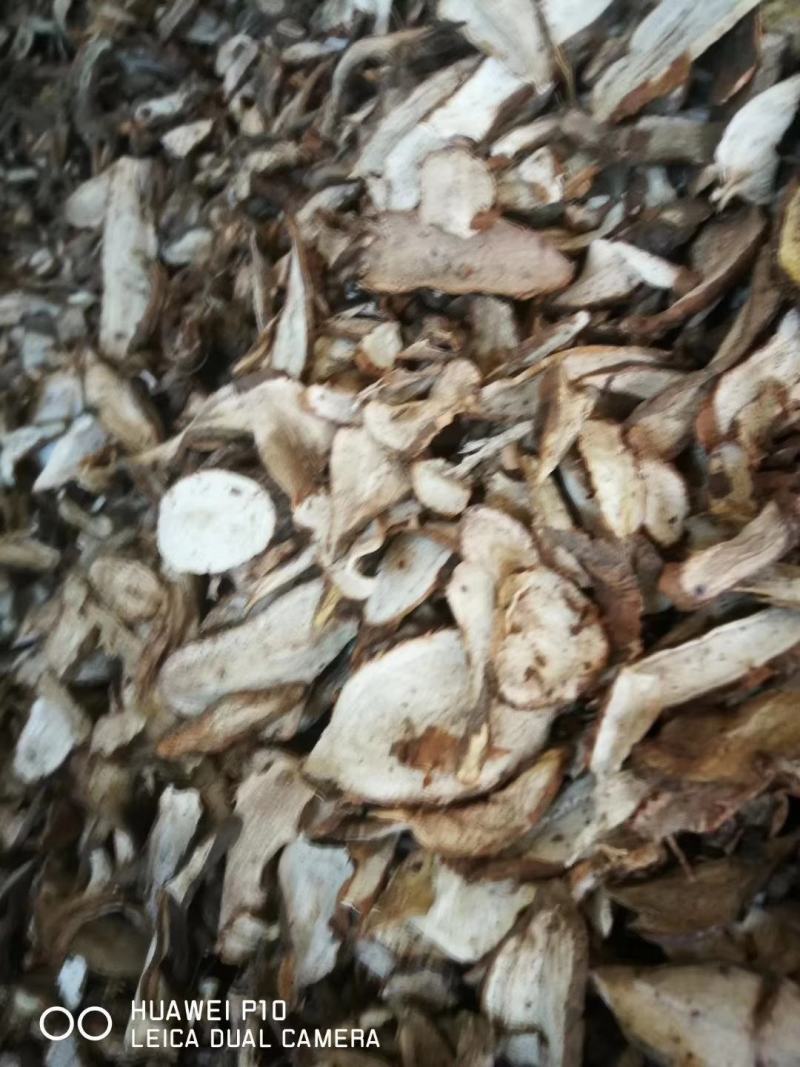 中药材白蔹，白蔹。白蔹
