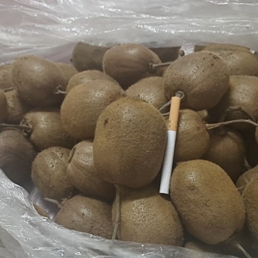 精品徐香猕猴桃特价活动