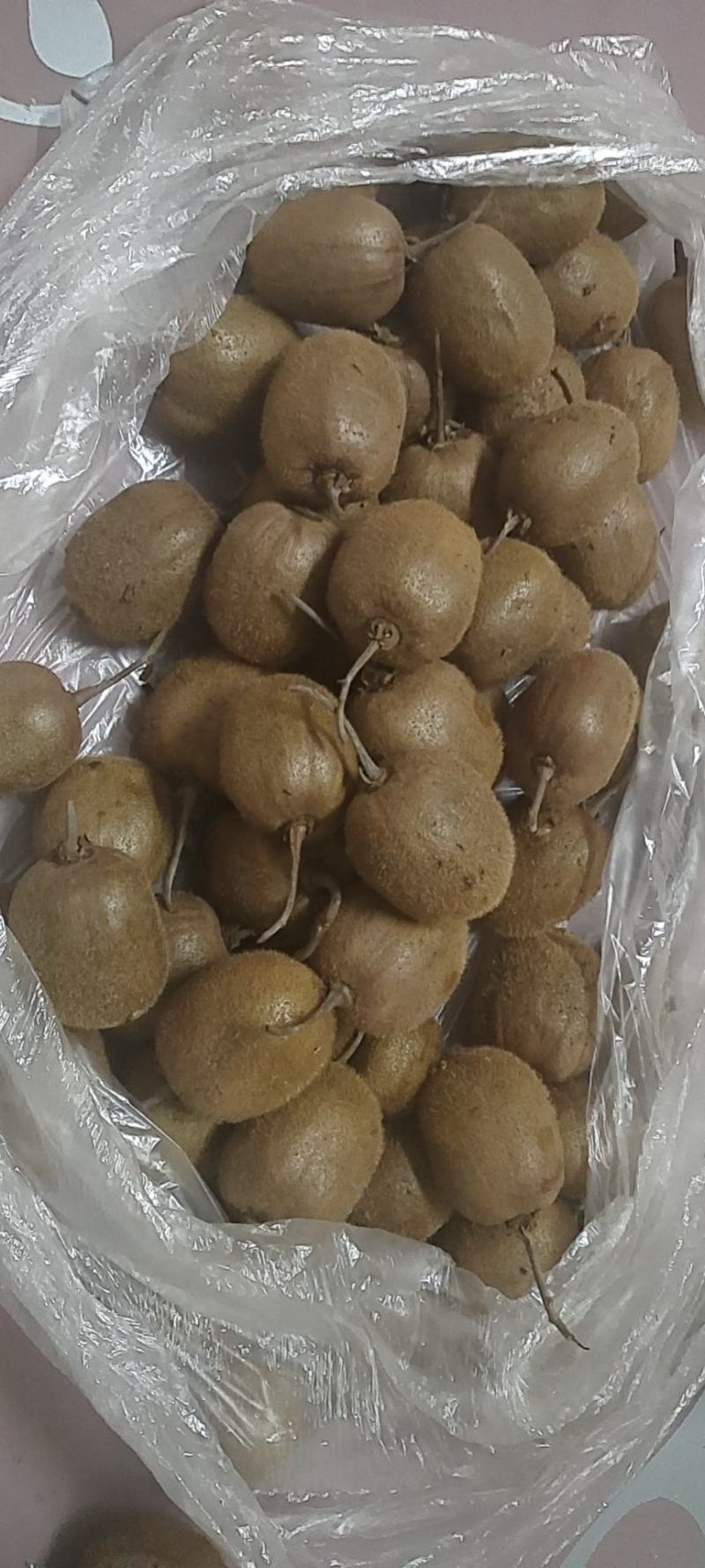 精品徐香猕猴桃特价活动
