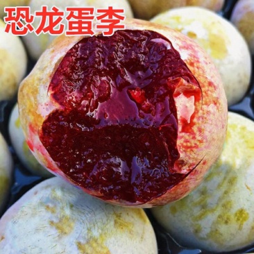 恐龙蛋李子树苗，红心李子苗，南北方庭院种植当年结果