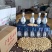 酿酒专用莲子、碎莲子、红莲子、筛下子、价格低廉