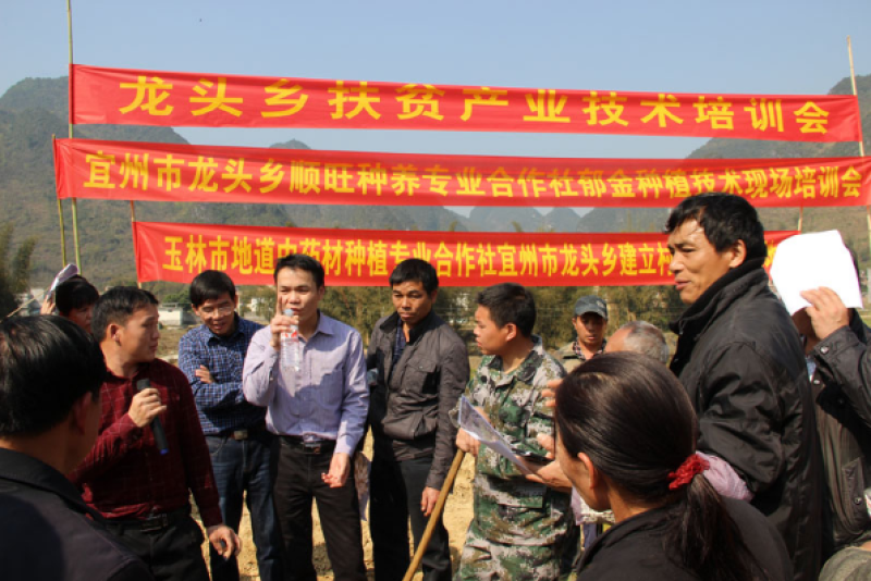 【1000亩基地直供】广西南药园桂枝，无硫生切、量大从优