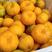 果园采摘·12月份上市新鲜芦柑·自家种植·果肉饱满。