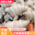 【生姜】河北大肉姜大黄姜品质好货源充足供应商超