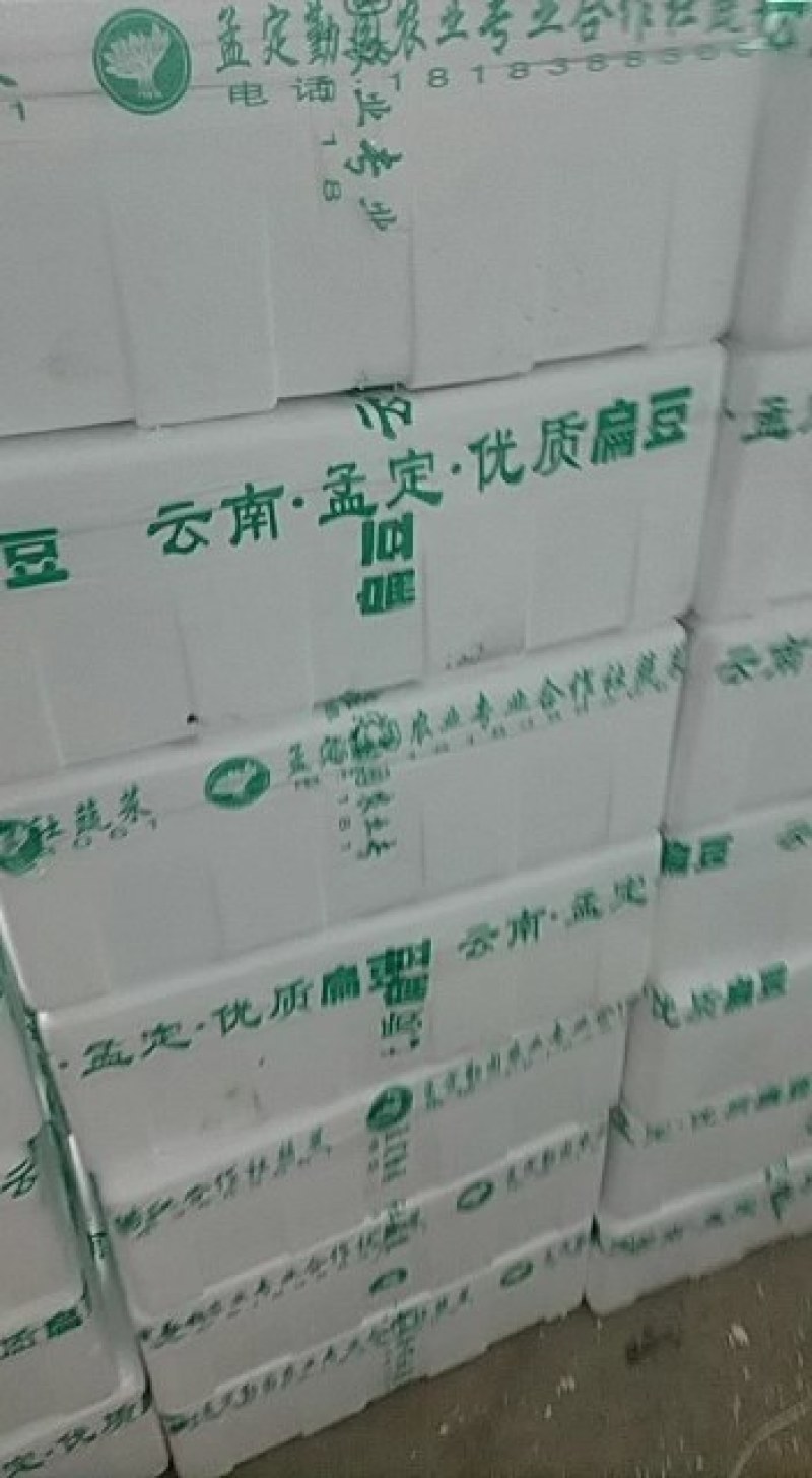 扁豆