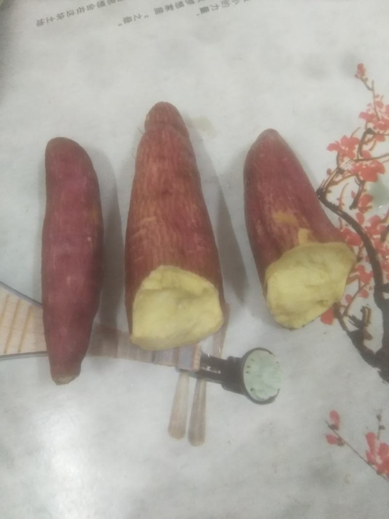 济薯26混装统货基地批发，大量有货