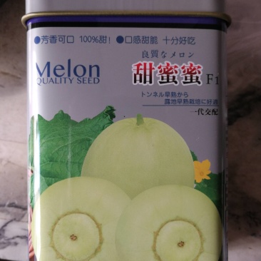甜蜜蜜甜瓜一代交配早熟开花后35天左右成熟糖度最高17度