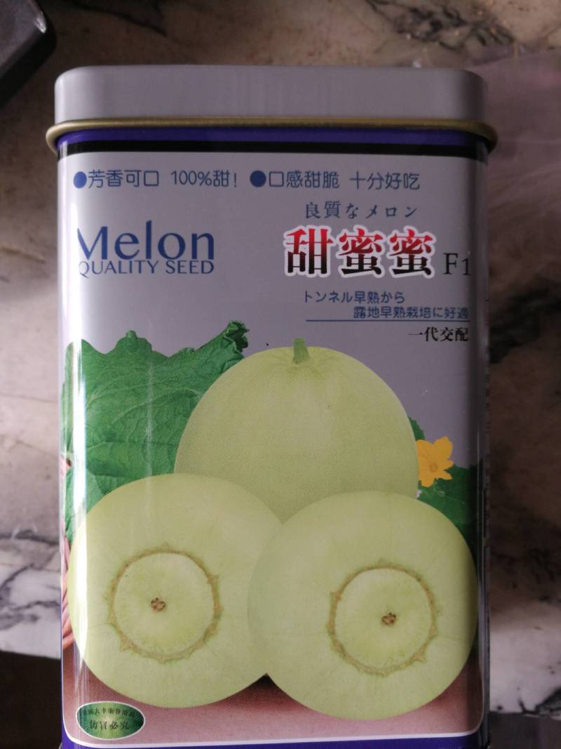 甜蜜蜜甜瓜一代交配早熟开花后35天左右成熟糖度最高17度