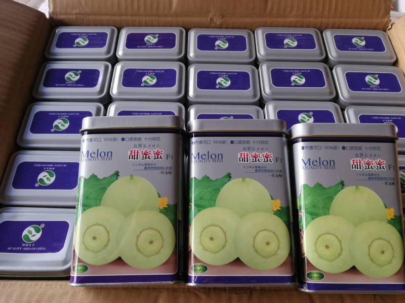 甜蜜蜜甜瓜一代交配早熟开花后35天左右成熟糖度最高17度