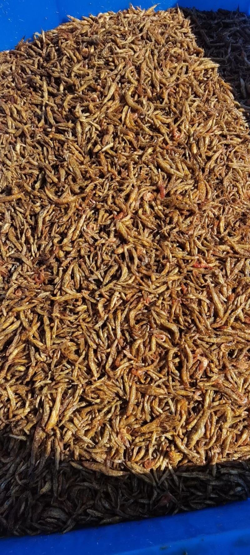 油炸小黄鱼（肉鱼）大量有货