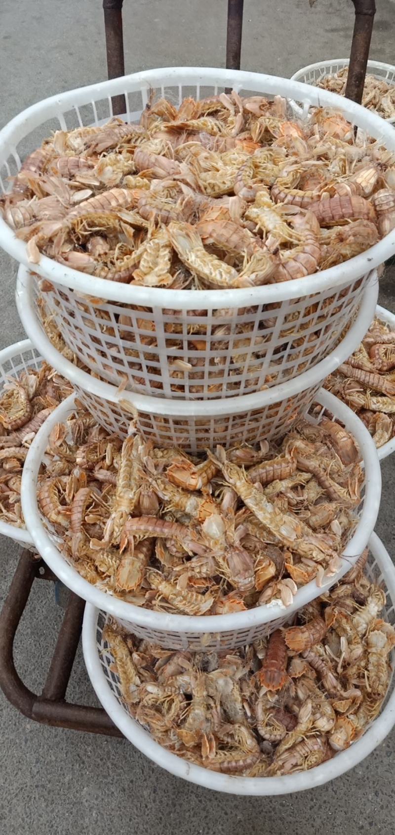 精品特级皮皮虾虾虎爬虾带籽熟冻渤海特产产地直发资质齐全