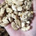云南老树核桃仁手工剥壳核桃仁，手工挑选尖白核桃仁