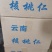 云南老树核桃仁手工剥壳核桃仁，手工挑选尖白核桃仁