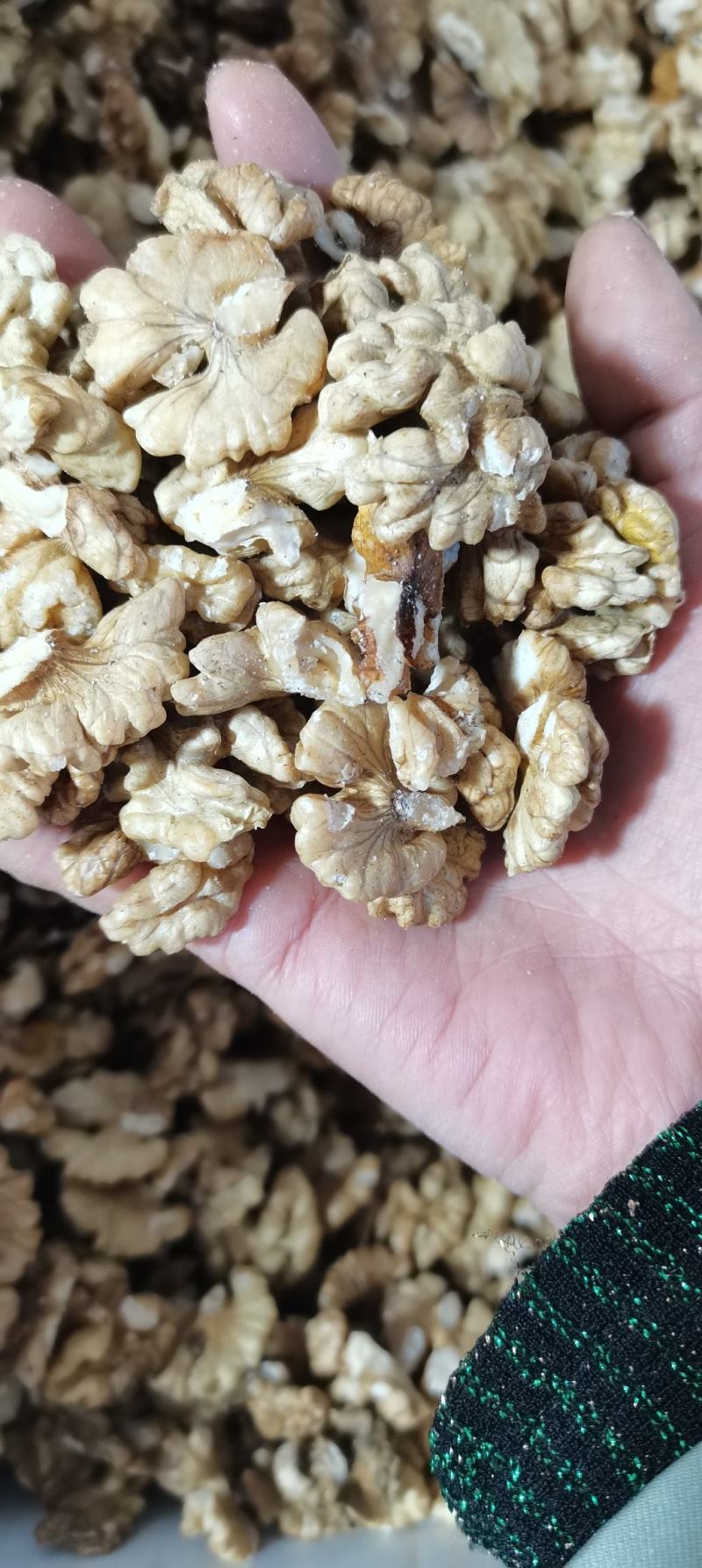 云南老树核桃仁手工剥壳核桃仁，手工挑选尖白核桃仁