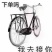 【精品】淡干海参干参刺参辽参大量现货全规格，质量有保证