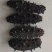 【精品】淡干海参干参刺参辽参大量现货全规格，质量有保证