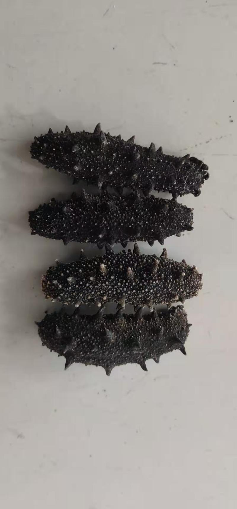 【精品】淡干海参干参刺参辽参大量现货全规格，质量有保证