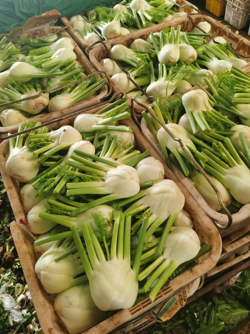 长期供应特菜，香草，三毛野菜，欢迎合作，