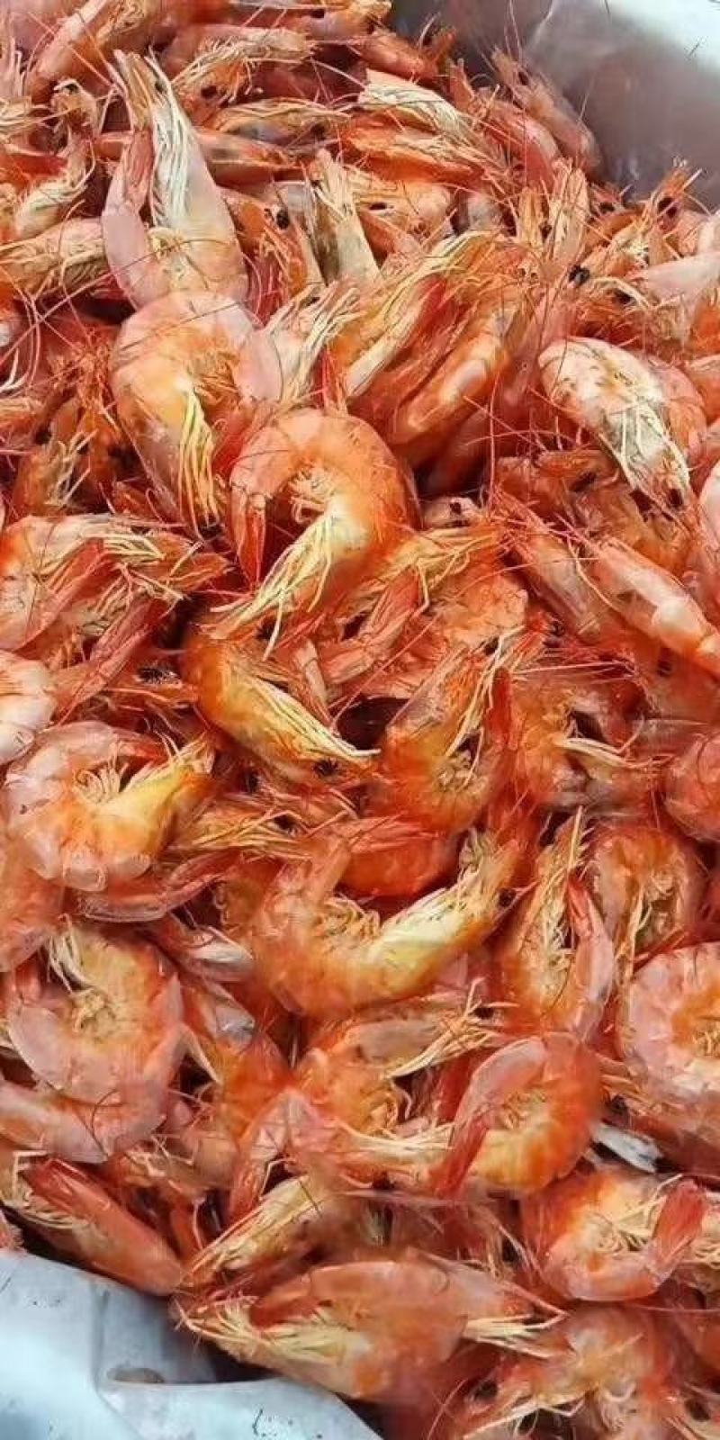 【特级】精品烤虾干货插对口感无盐淡干厂家直销对接电商