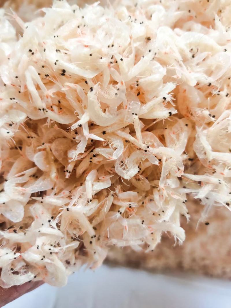 精品新鲜淡干白虾皮小虾米干货产地直发特级即食海米海鲜毛虾