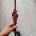 梅花鹿鹿鞭（礼盒）泡酒