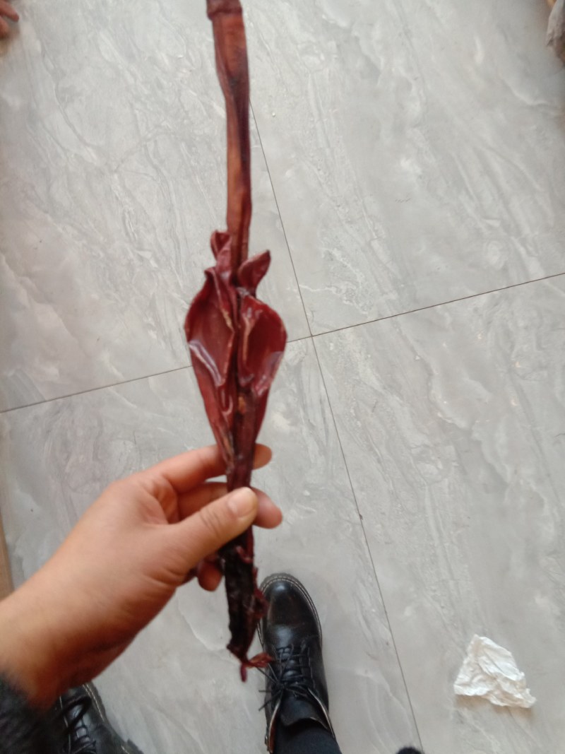 梅花鹿鹿鞭（礼盒）泡酒