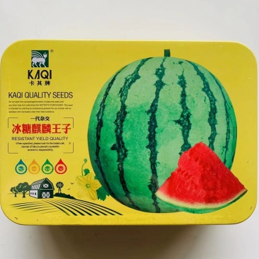 卡其冰糖麒麟王子早熟西瓜种子甜脆多汁不空心耐高温高湿