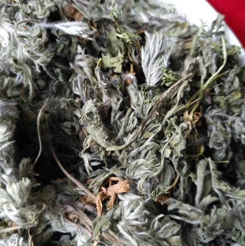 茵陈二月小茵陈绵茵陈嫩苗整棵无剪切白蒿干品无硫