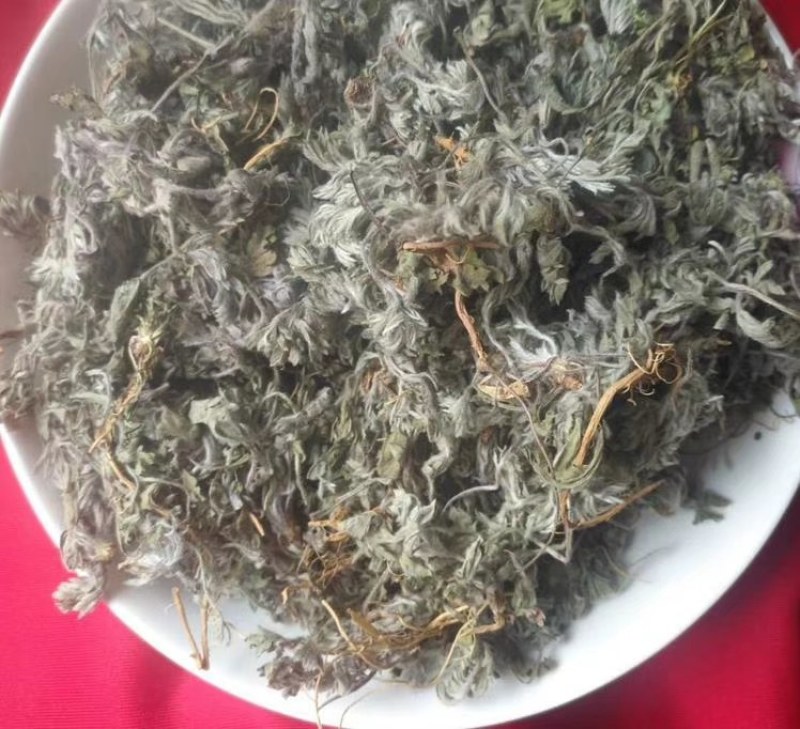 茵陈二月小茵陈绵茵陈嫩苗整棵无剪切白蒿干品无硫