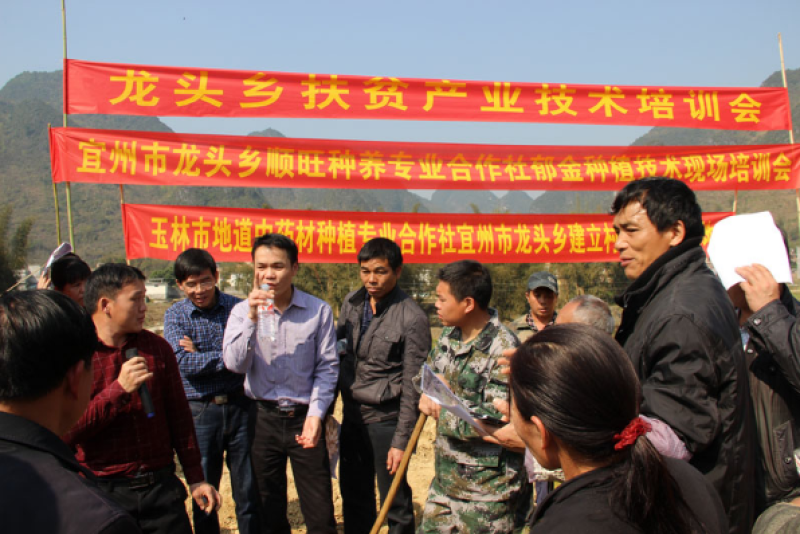 郁金广西郁金优质无硫南药园直供