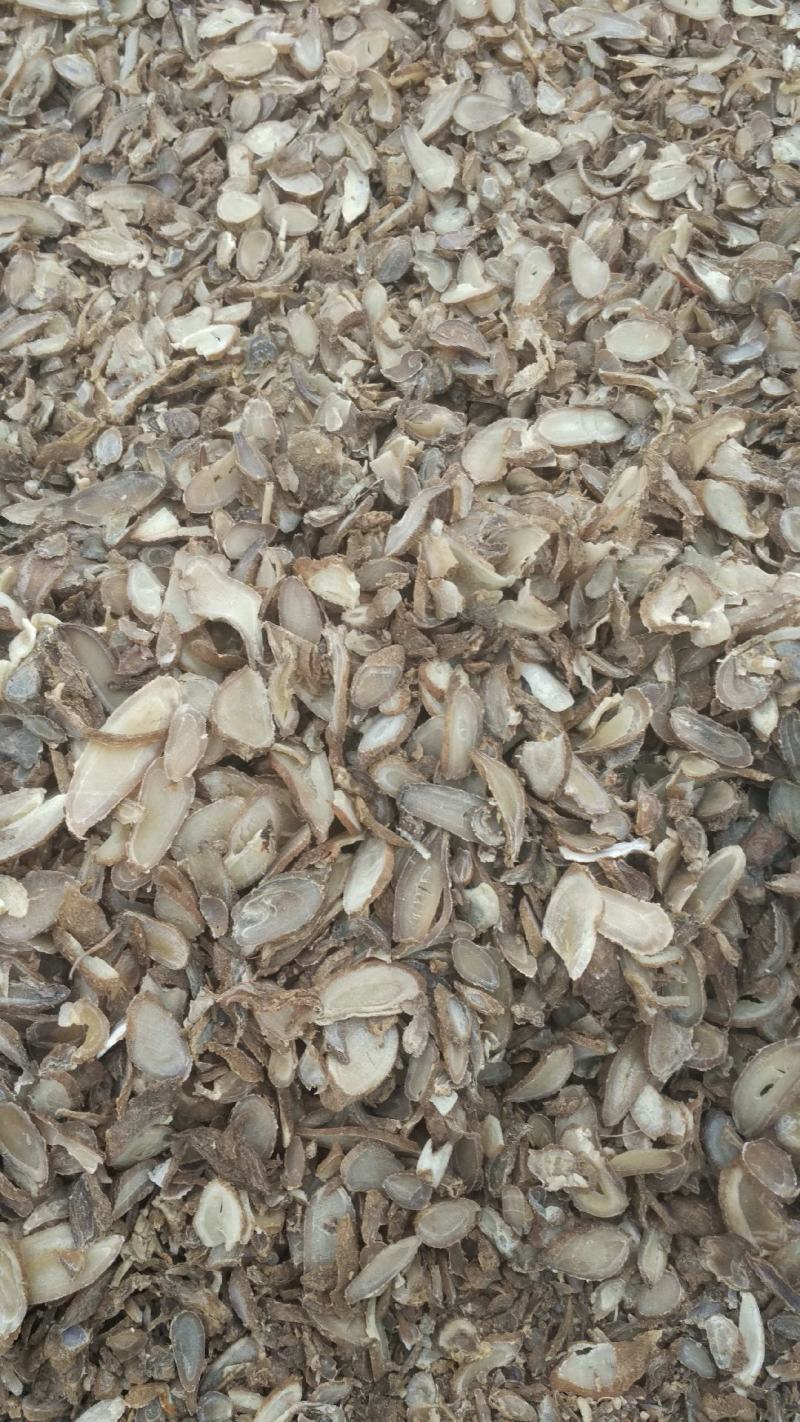 郁金广西郁金优质无硫南药园直供