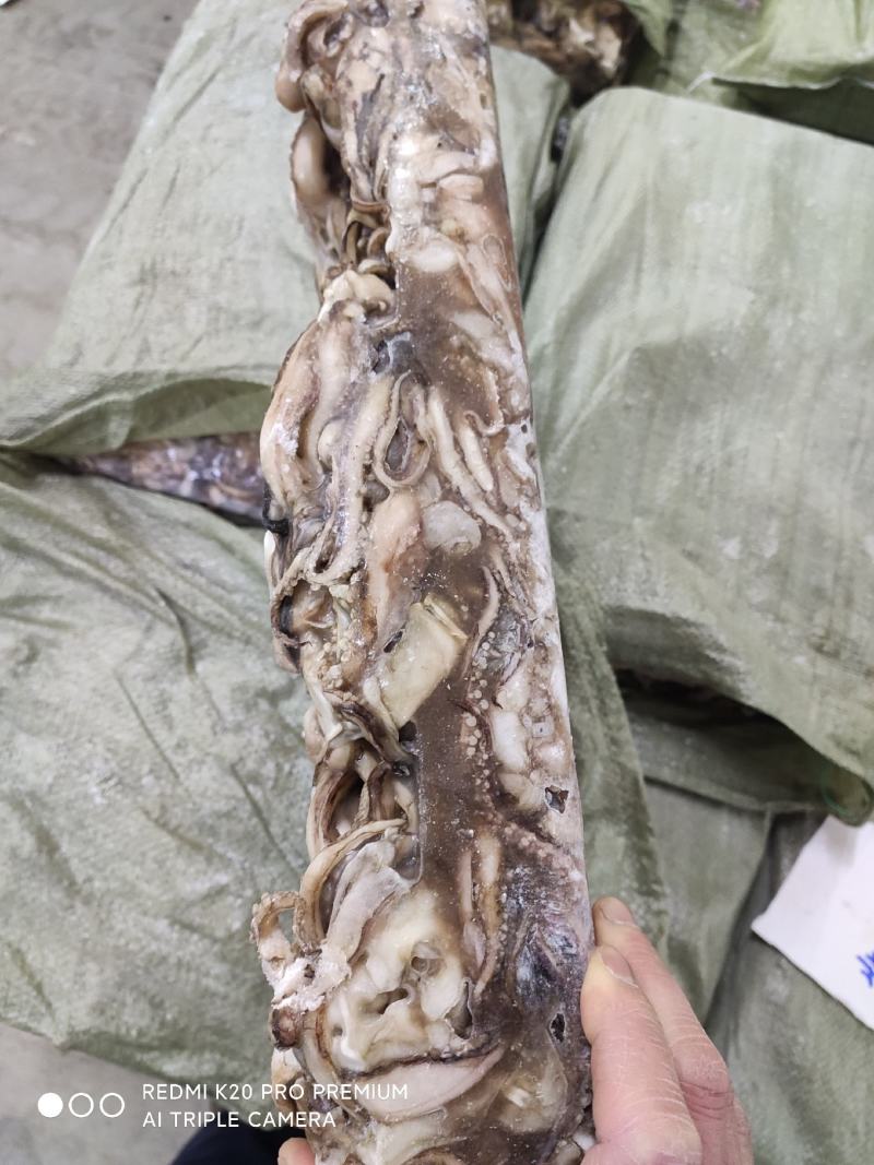 精品水产品北太鱿鱼头，规格齐全物美价廉量足，欢迎电话联系